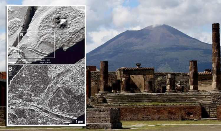 Новости археологии: клетки мозга жертвы извержения Везувия, произошедшего 2000 лет назад 