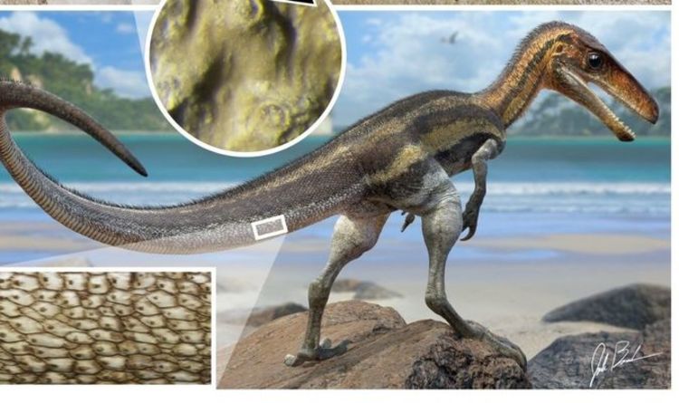 Открытие динозавров: палеонтологи обнаружили плотоядных животных с крокодилоподобными чувствами