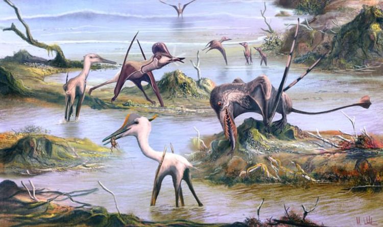 Открытие динозавров: палеонтологический анализ раскрывает «захватывающие идеи» о птерозаврах