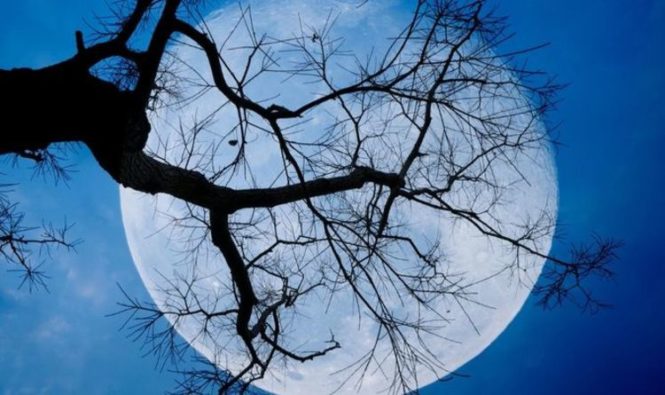 Полная синяя луна на Хэллоуин: как увидеть луну охотника