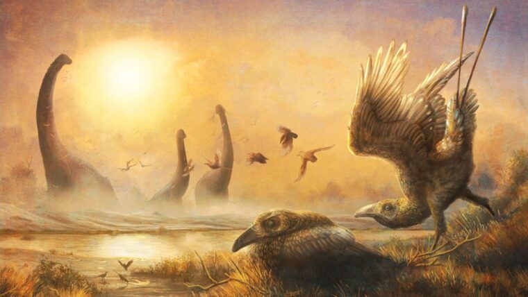 Птица эпохи динозавров имела голову велоцираптора и клюв тукана.