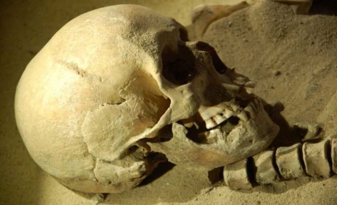 В ЮАР обнаружили череп древнейшего человека, которому 2 миллиона лет