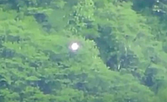 Светящийся шар парит над лесом Мексики