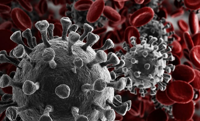 Ученые поразились невероятной живучести частиц коронавируса