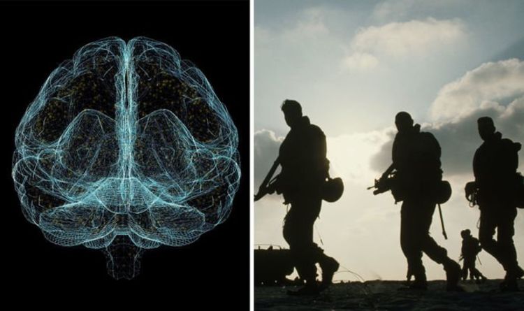 Армия США стремится создать технологию чтения мыслей, позволяющую телепатически общаться 