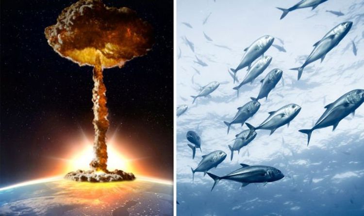Ядерная война может уничтожить морских обитатетелей