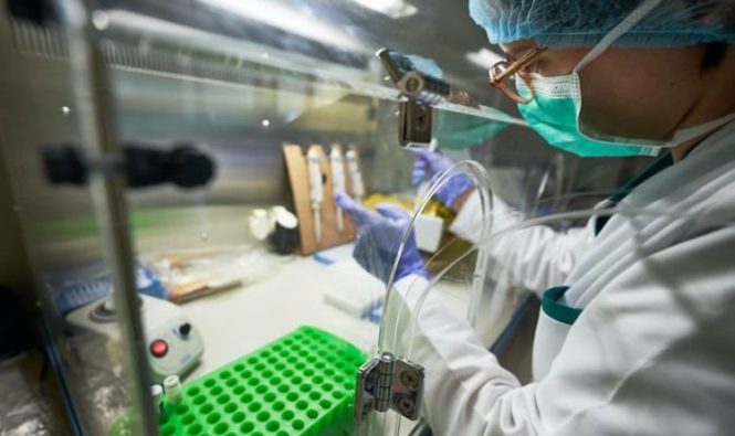 Научный прорыв: коронавирус вызывает серьезное заболевание «не в его» интересах