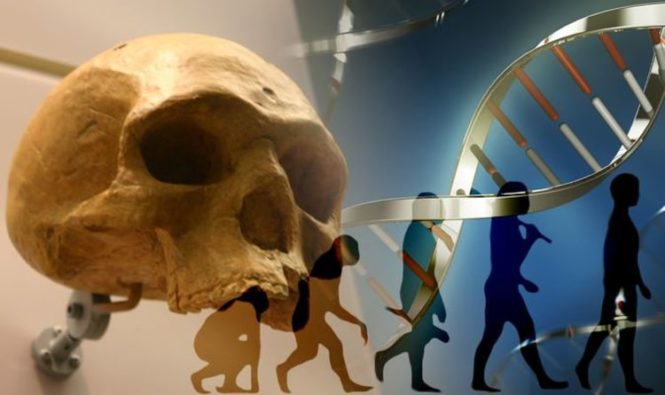 Новости археологии: череп Флорисбада, которому 260 000 лет, может быть ключом к происхождению нашего вида
