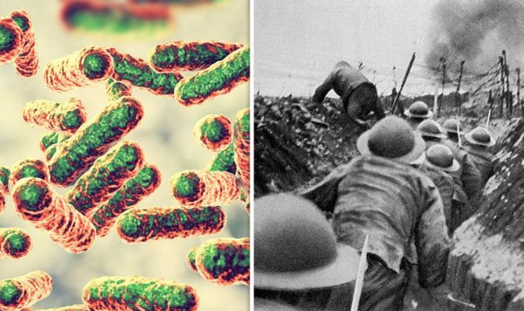 Окопная лихорадка косила солдат Первой мировой войны 