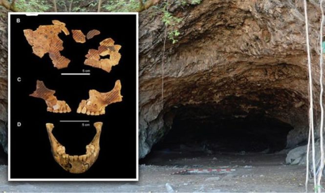 Новости археологии: в захоронении 8000-летнего возраста обнаружен ребенок с удаленными руками и ногами 