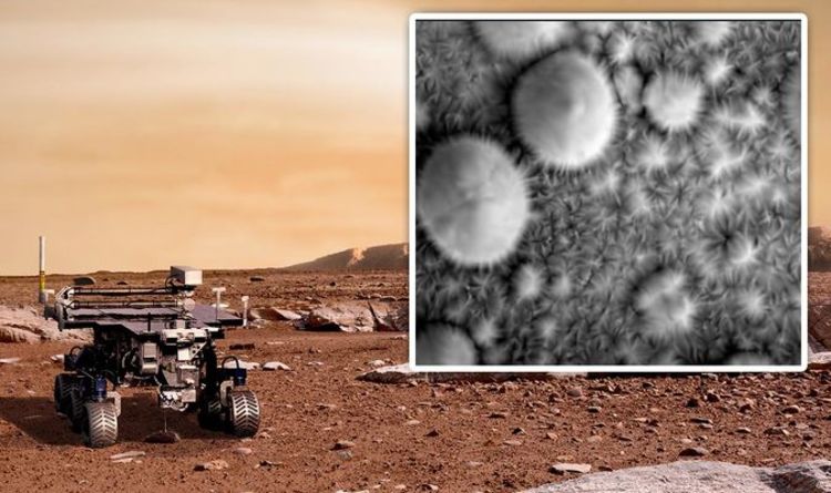 «Удивительное» открытие НАСА Марс поддерживал «процветающую жизнь» на поверхности 