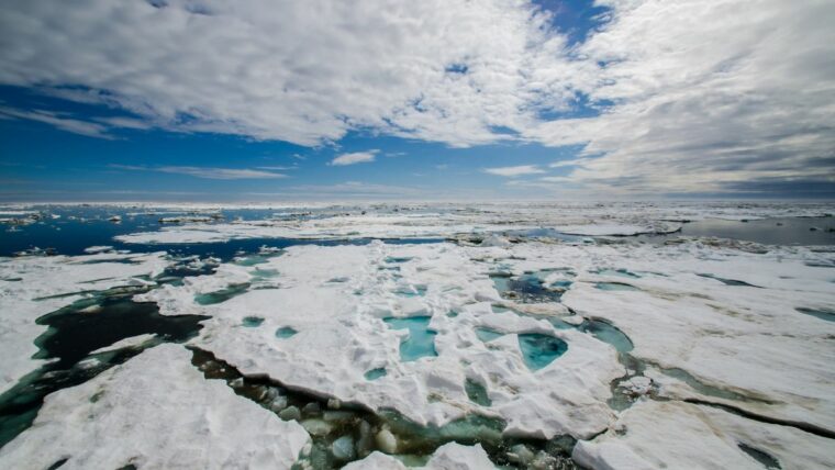 Резкое преобразование арктического ландшафта может быть постоянным