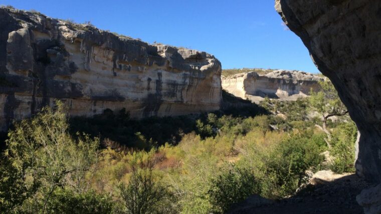 Человек, умерший от запора 1000 лет назад, месяцами ел кузнечиков