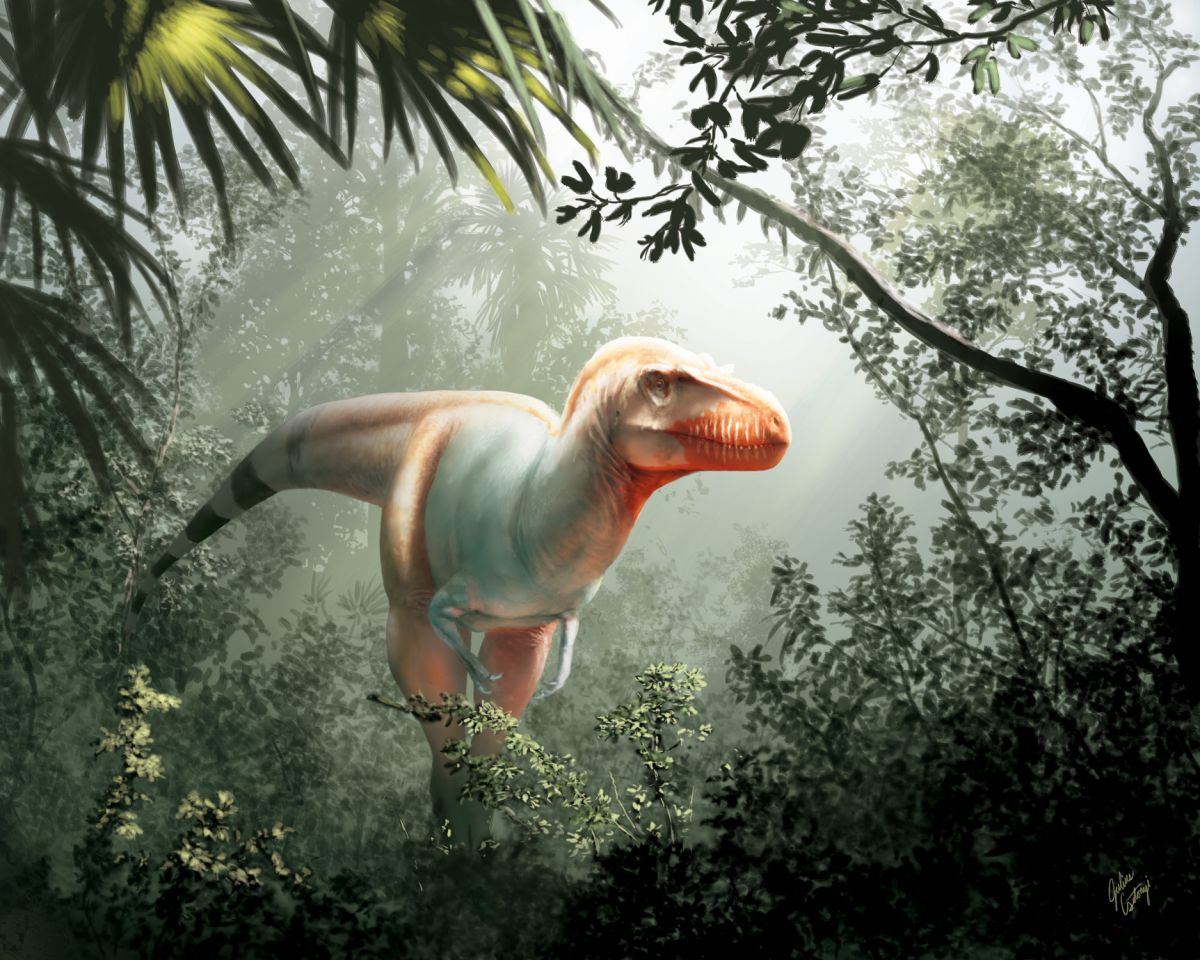 Планета динозавров 2003