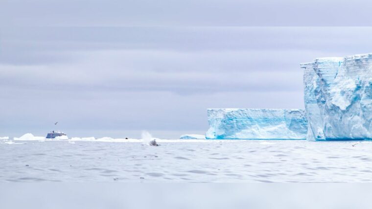 Самый большой айсберг в мире продолжает разрушаться у берегов Южной Георгии