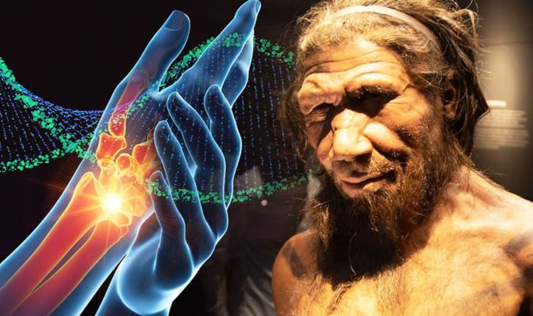  ДНК неандертальца может увеличить риск ревматоидного артрита, утверждает исследование 