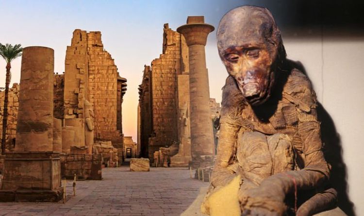 Древний Египет: исследование мумифицированных павианов проливает свет на локацию Земля Пунт