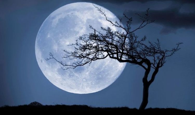 Холодная Луна 2020: Тринадцатое и последнее Полнолуние в году, которое должно восходить сегодня вечером