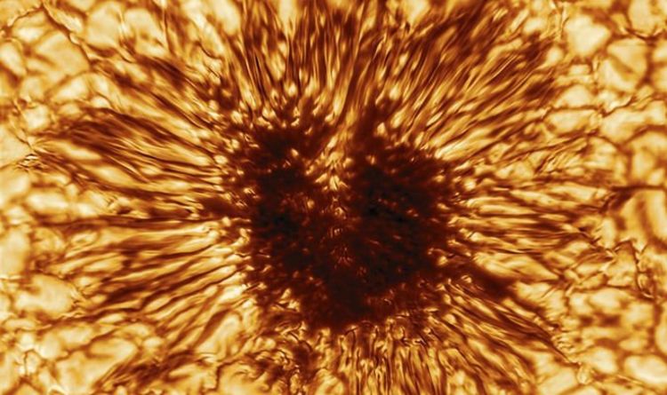Космическая обсерватория запечатлела на необычном снимке солнечного пятна "структуры размером до 20 км"