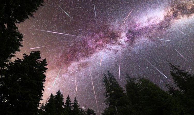 Метеоритный дождь Геминиды: как сегодня вечером увидеть «ярко окрашенный» метеорный поток Геминиды 