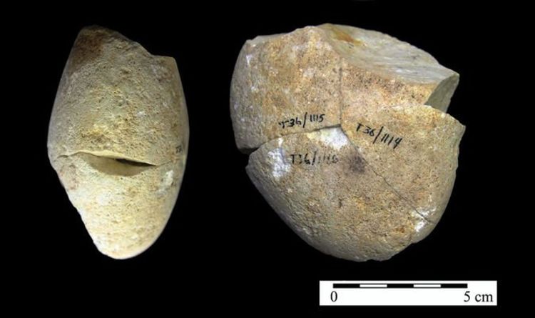 Израильский камень, которому 350000 лет, - самый старый шлифовальный инструмент, используемый гоминидами