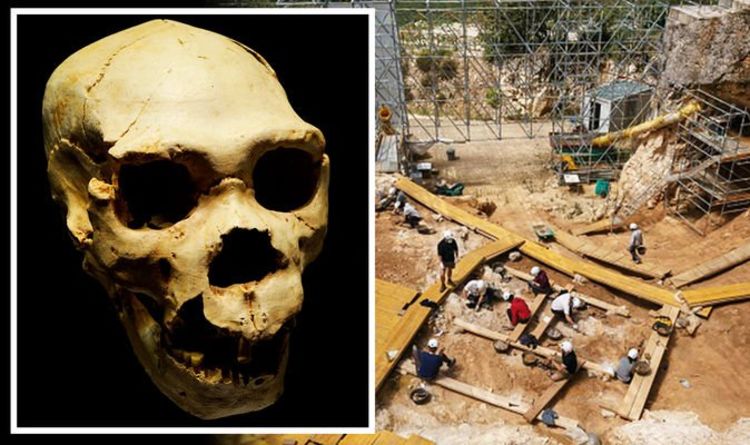 Новости археологии: «Увлекательная» теория: неандертальцы переживали зимы, впадая в спячку