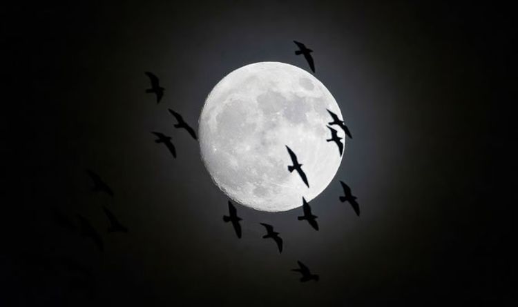 Полнолуние 2020: НАСА приветствует красивую холодную луну декабря