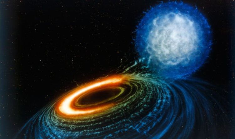 Прорыв в «черную дыру»: «Изобилующая» жизнь могла скрываться в «безопасном» районе космоса