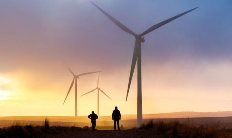 Ветер впервые вырабатывает более половины электроэнергии в Великобритании