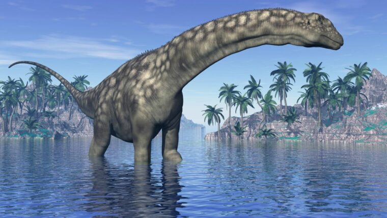 Новый огромный динозавр может стать самым большим существом, когда-либо бродившим по Земле