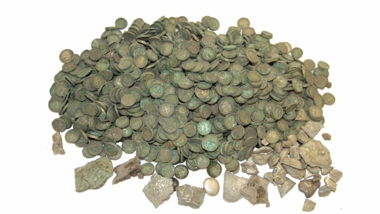6500 средневековых монет и редкие золотые кольца, обнаруженные на польском кукурузном поле