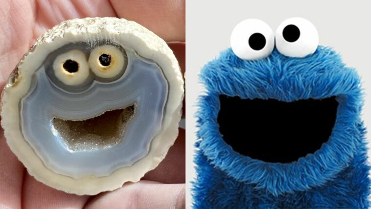 Коллекционер камней нашел редкий драгоценный камень, похожий на Cookie Monster