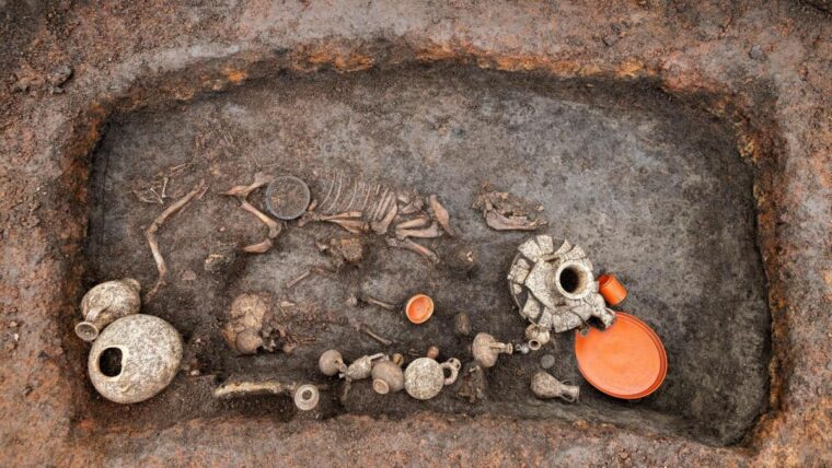 В захоронении 2000-летнего возраста найдены щенок и малыш