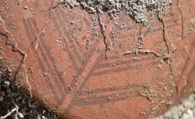 Загадочные артефакты нашли на древнем кладбище инков