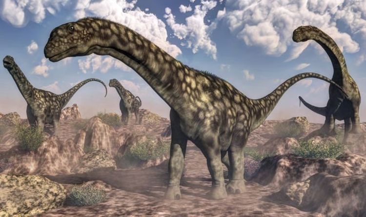 Открытие динозавра: окаменелости, обнаруженные в Аргентине, могли принадлежать крупнейшему наземному животному