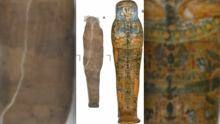 Никогда прежде не замеченная египетская грязевая мумия обнаружена не в том гробу
