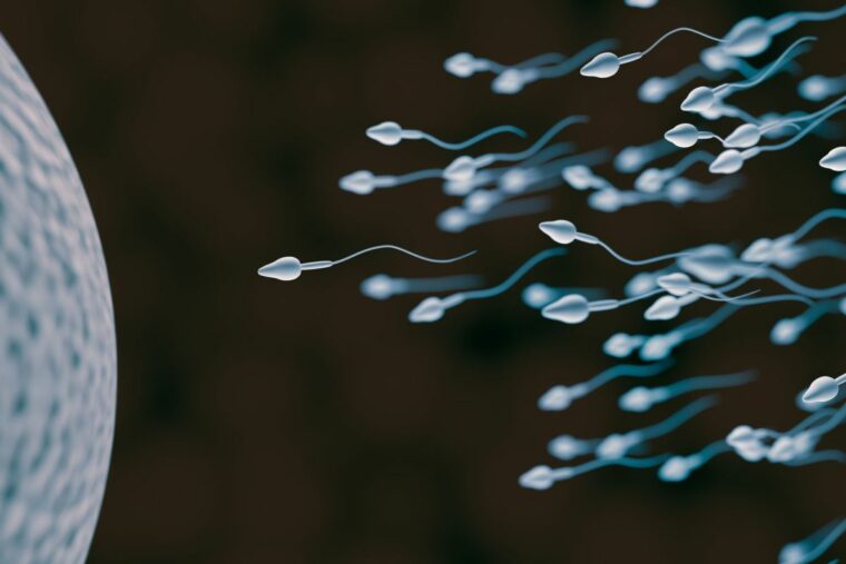 Небольшое исследование показало, что COVID-19 может снизить количество сперматозоидов