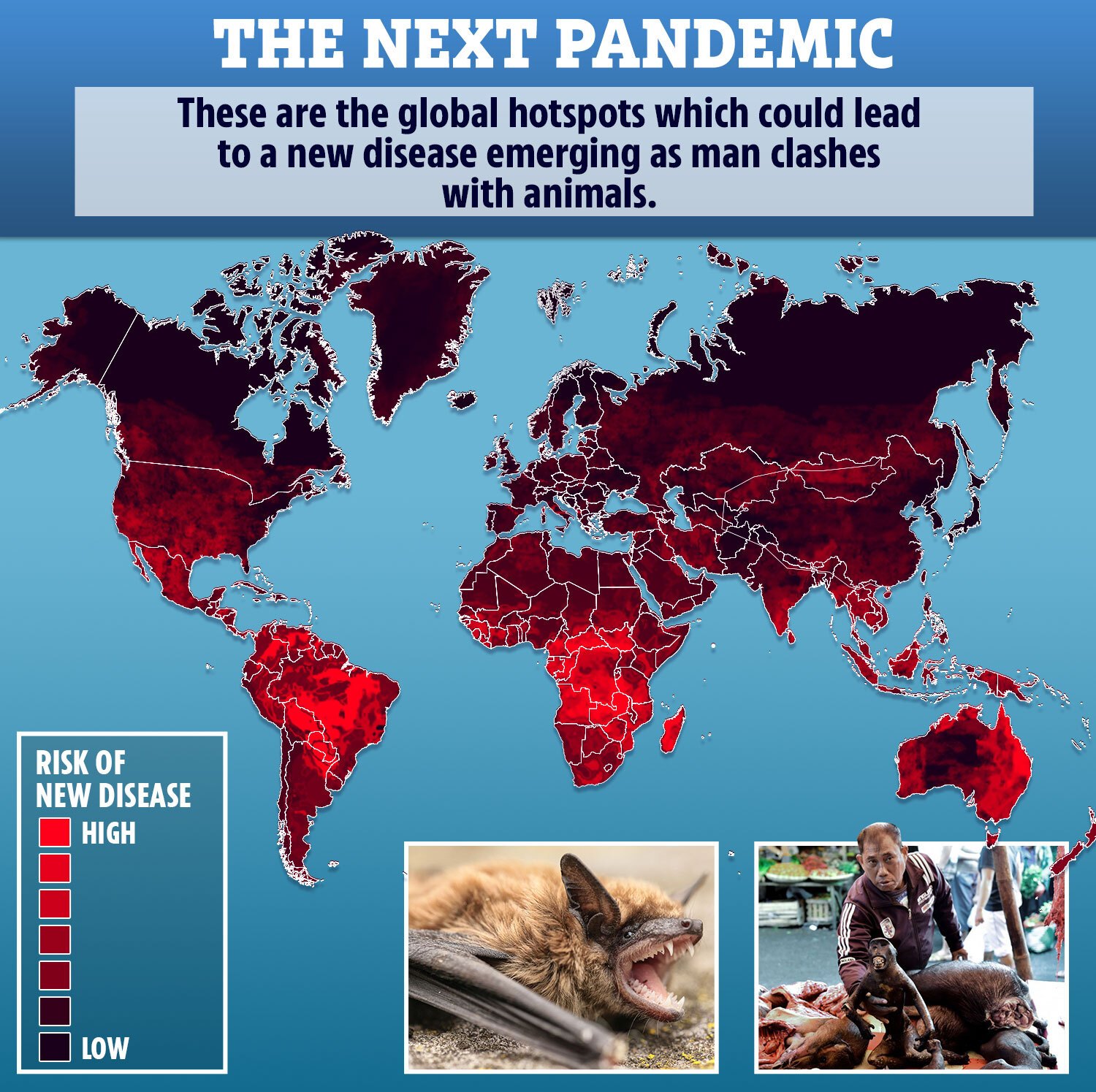 Новый вирус в 2024 году. Спаркс Пандемия 2025-2028.