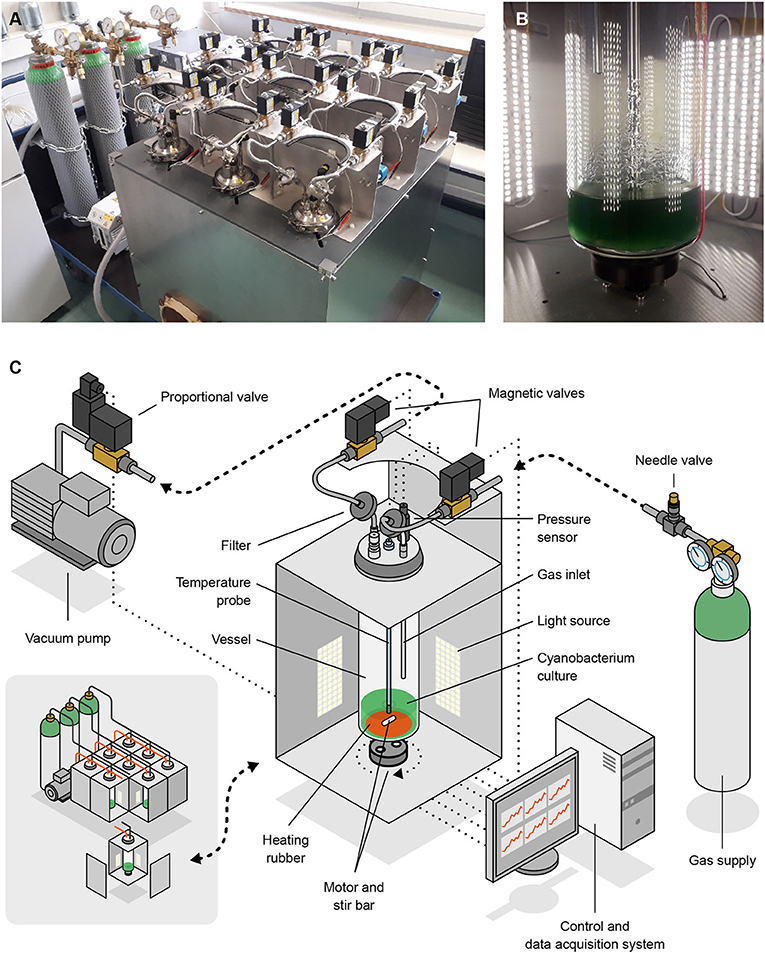 На изображениях A и B показан фотобиореактор низкого давления, использованный для исследования. На рисунке C показана схема устройства. Предоставлено: Йорис Вегнер (Университет искусств Бремена)