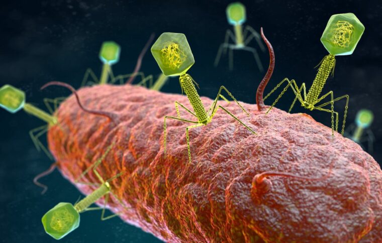 70000 ранее неизвестных вирусов, обнаруженных в кишечнике человека