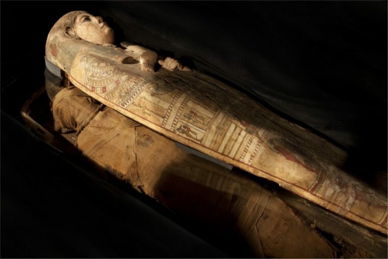 3500-летнее египетское руководство по мумификации переписывает наши представления о мумиях