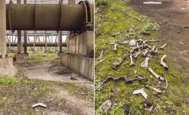 Блогер нашёл нечто рядом с Чернобыльской АЭС
