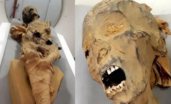 Раскрыта тайна кричащей мумии