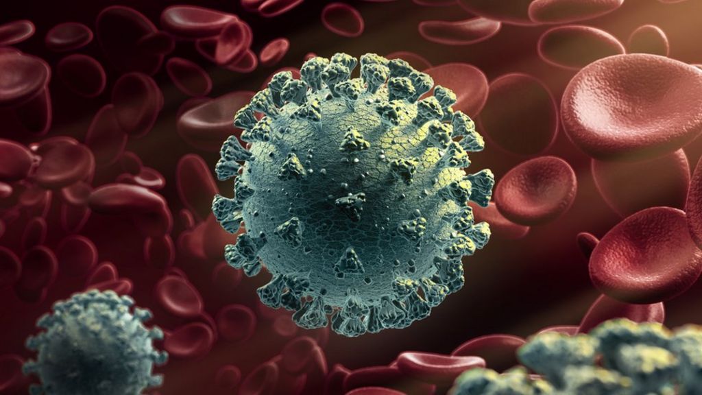 Ученые обнаружили 7 новых вариантов коронавируса в США