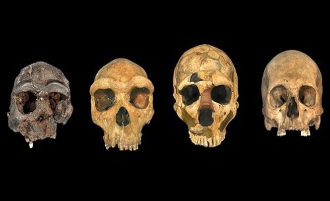Время и место происхождения Homo sapiens остаются неизвестными несмотря на усилия ученых