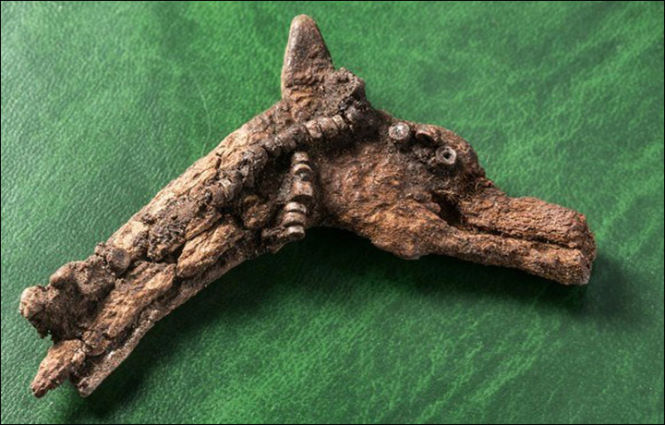 Загадка стутуэток которым 4000 лет найденных в древнем захоронении в Сибири