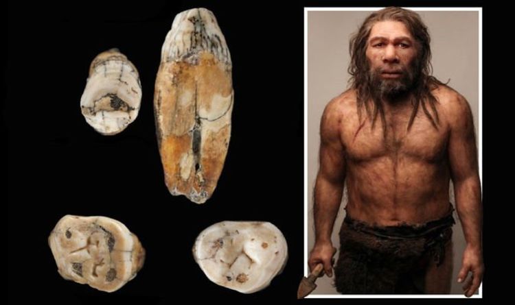 Анализ зубов из Джерси показал, что скрещивание неандертальцев с современными людьми
