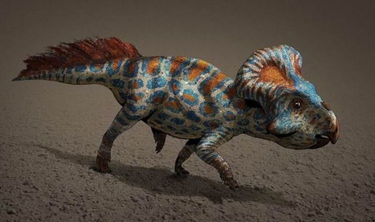Открытие динозавров: динозавры развили декоративные острые ощущения для «полового отбора»