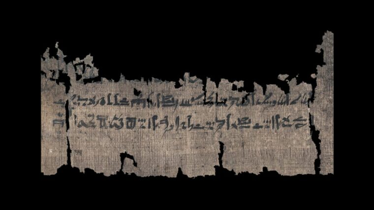 Древний папирус содержит старейшее в мире руководство по мумификации