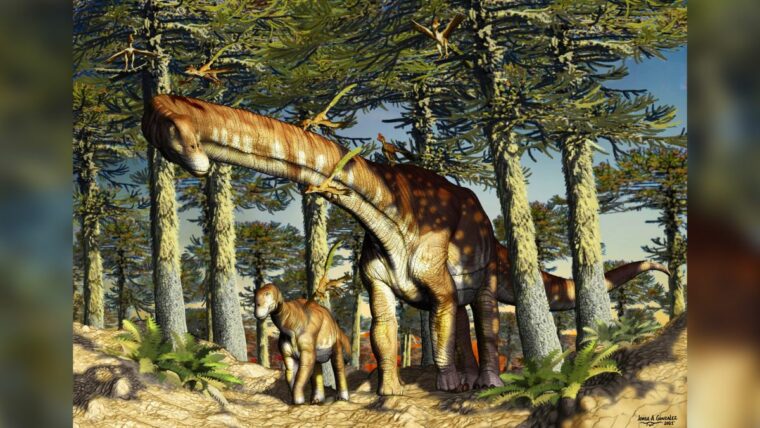 Этот гигант-ниндзя - старейший из известных титанозавров.